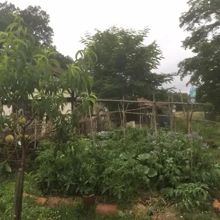 Xibouette 住宿加早餐酒店 *