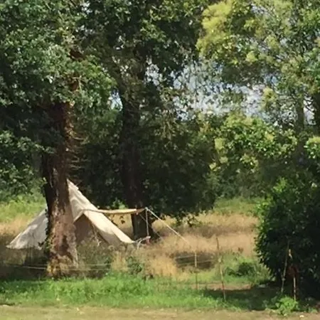 Xibouette Bed & Breakfast
