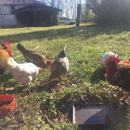 住宿加早餐酒店 Xibouette *