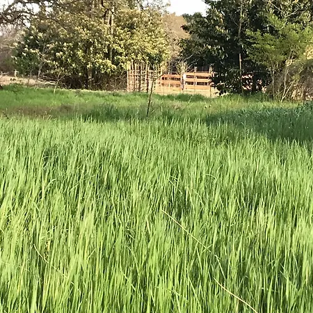 住宿加早餐酒店 Xibouette