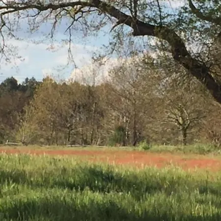 Xibouette 住宿加早餐酒店 *