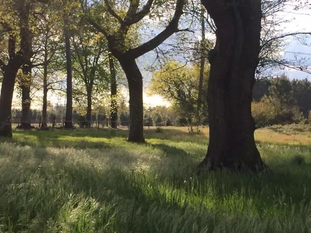 Bed & Breakfast Xibouette *