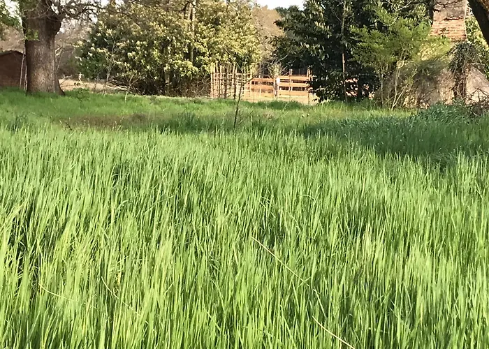 Bed & Breakfast Xibouette