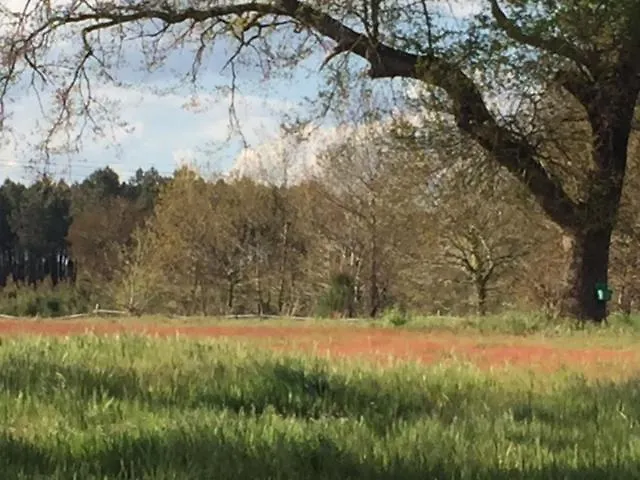 Xibouette Bed & Breakfast *